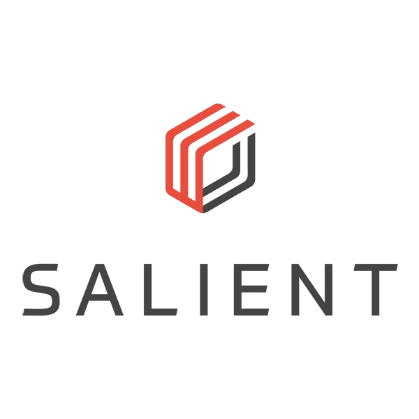 Salient systems logo.png_1693496290